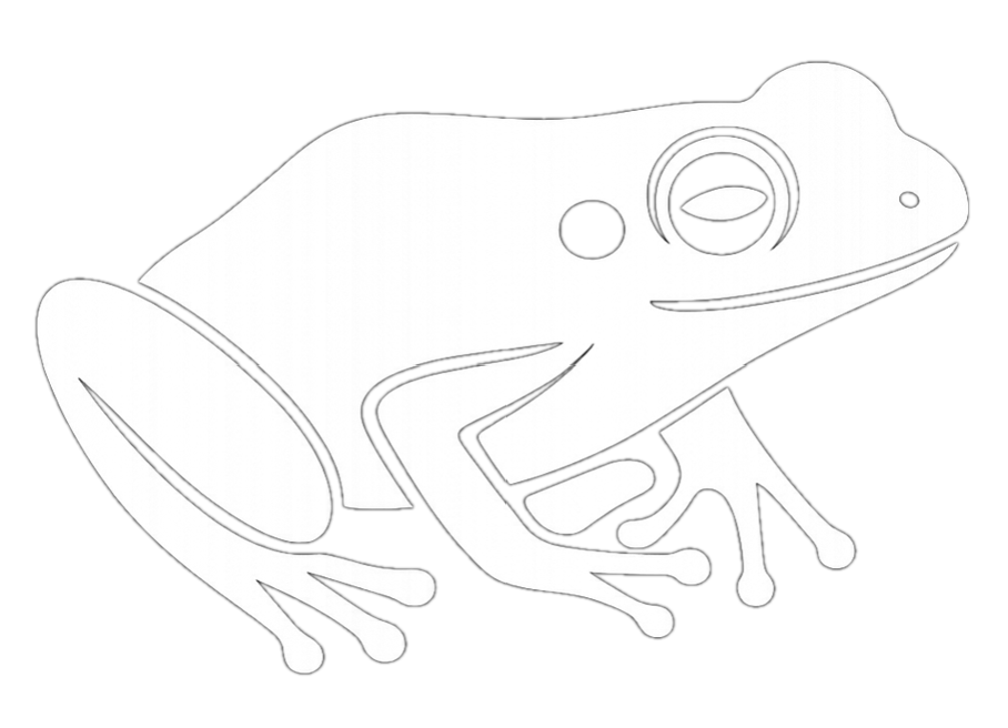 Green Tree Frog